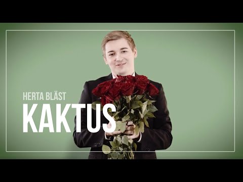 Viktoria Bläst & Schluckt Während Sie Gefickt Wird Viktoria Bläst & Schluckt Während Sie Gefickt Wird
